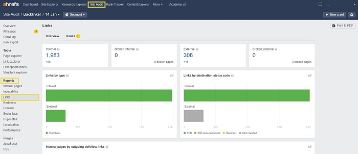 Ahrefs Site Audit link report